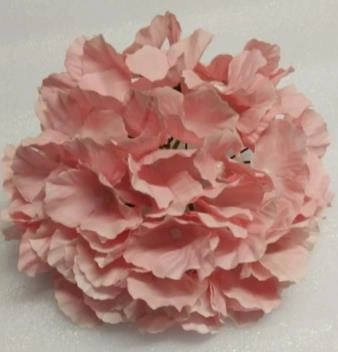 Hydrangea Jumbo Bharat 18x3